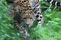 IMG_7417-11.jpg