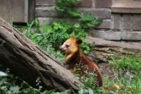 IMG_7474-11.jpg