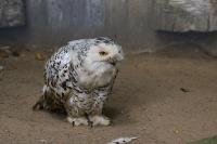 IMG_7573-11.jpg