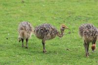 IMG_7599-11.jpg
