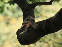 IMG_7811-11.jpg
