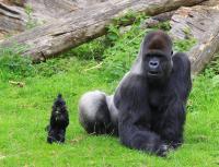 Gaiapark August 2011