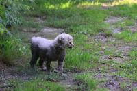IMG_0169-11.jpg