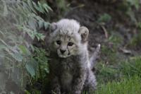 IMG_0266-11.jpg