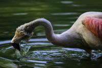 IMG_0294-11.jpg