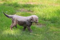 IMG_9604-11.jpg