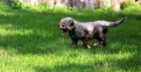IMG_9720-11.jpg