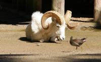 IMG_0965-11.jpg
