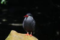 IMG_0978-11.jpg