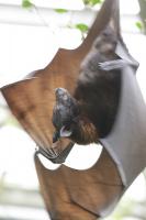 Krefelder Zoo September 2011