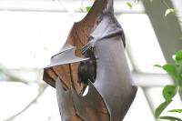 IMG_2384-11.jpg