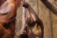 IMG_2508-11.jpg