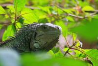 IMG_9891-1.jpg