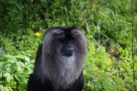 IMG_3833-11.jpg