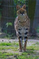 IMG_9919-1.jpg
