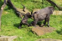 IMG_4344-11.jpg
