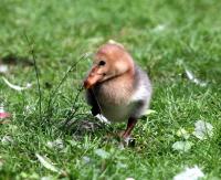 IMG_2988-11.jpg