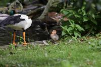 IMG_3040-11.jpg