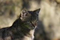 IMG_5002-11.jpg