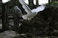IMG_7499-11.jpg