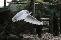 IMG_7500-11.jpg