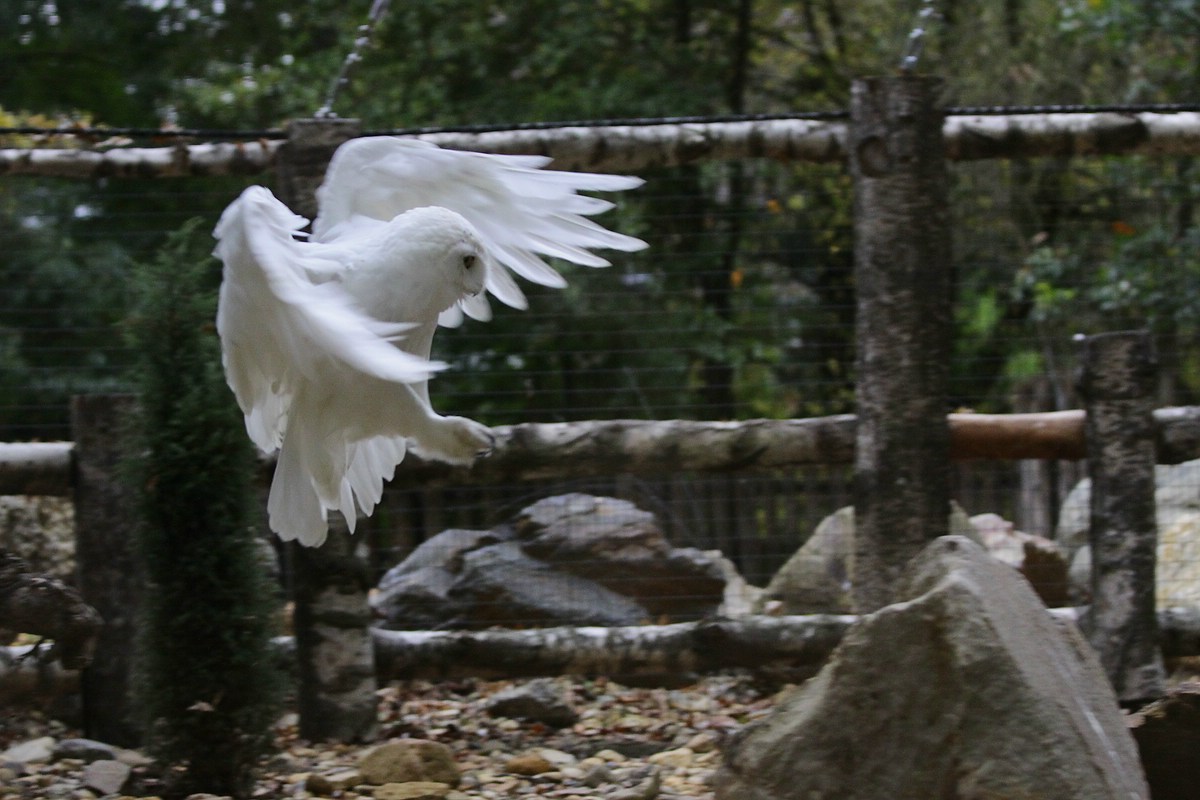 IMG_7501-11.jpg