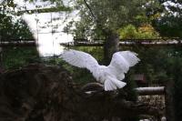 IMG_7513-11.jpg