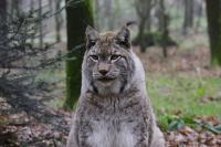 IMG_5828-11.jpg
