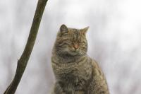 IMG_5858-11.jpg