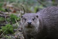 IMG_5916-11.jpg