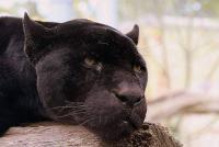 Fotos aus dem Zoo Krefeld