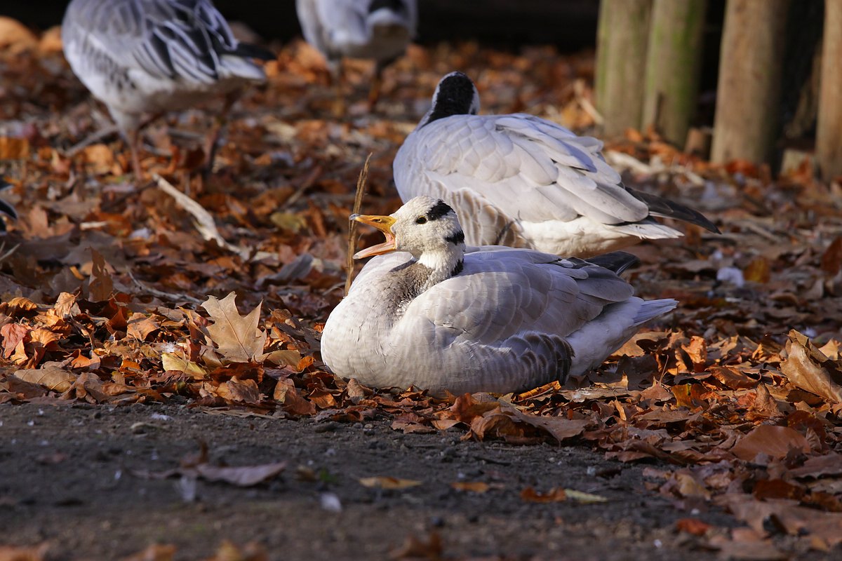 IMG_3037-11.jpg
