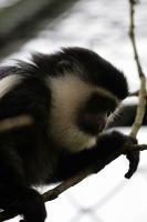 IMG_2304-1.jpg