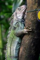 IMG_9503-1.JPG