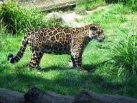 Ältere Fotos (2005)