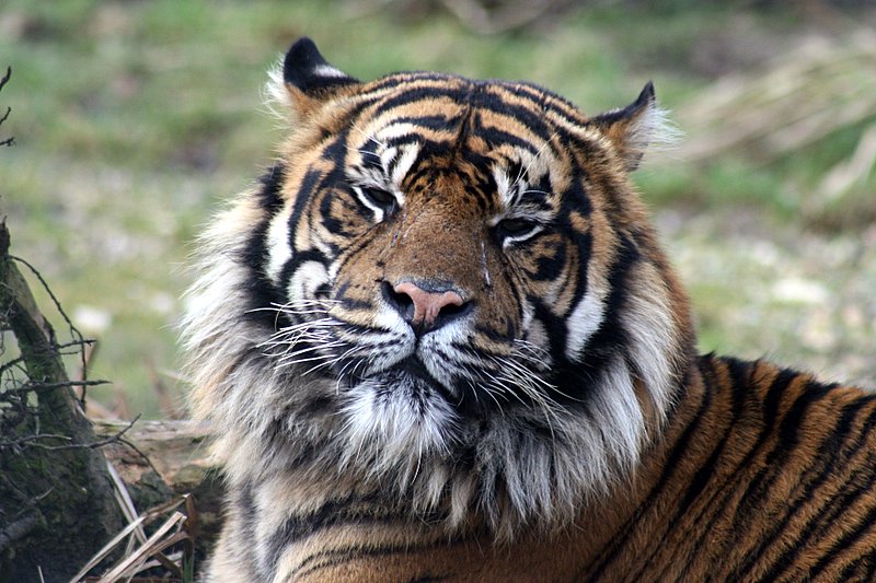 zoo58.jpg