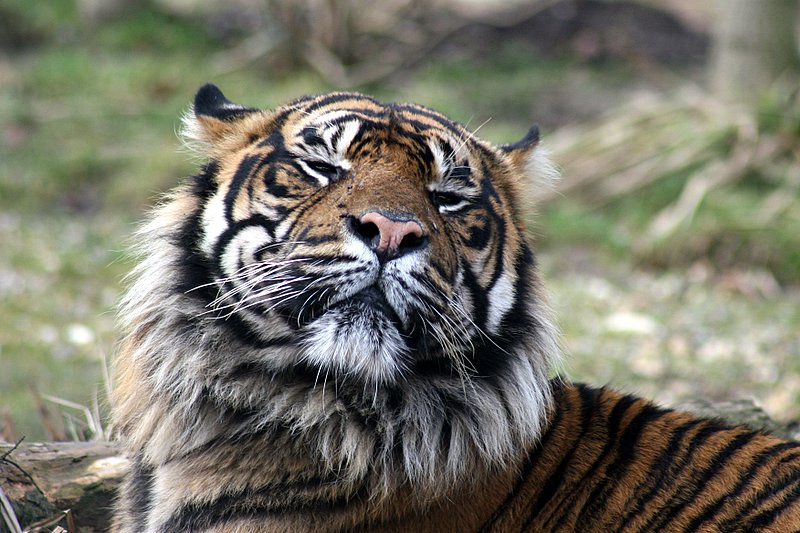 zoo03.jpg