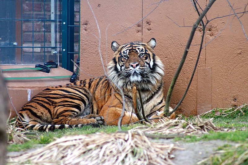 zoo21.jpg