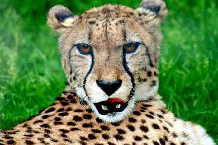 krefeldzoo018.jpg