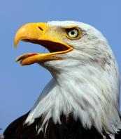 Fotos aus europäischen Zoos