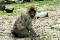IMG_1964-1.jpg