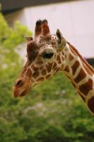 Fotos aus dem Zoo Duisburg