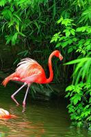 Fotos aus dem Zoo Wuppertal