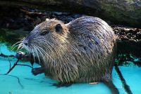 Fotos aus dem Zoo Dortmund