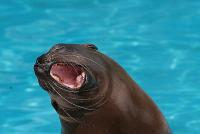 Fotos aus dem Zoo Köln