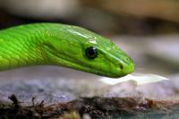 Fotos aus dem Terrazoo Rheinberg